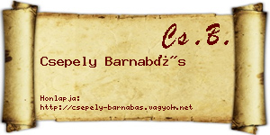 Csepely Barnabás névjegykártya